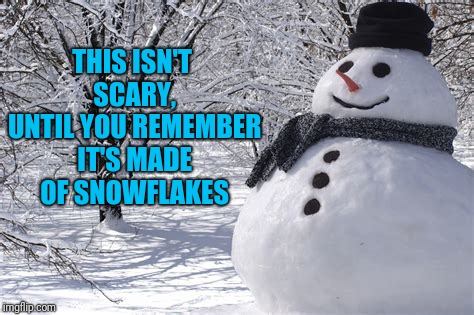 Millenial Man | THIS ISN'T SCARY, UNTIL YOU REMEMBER IT'S MADE OF SNOWFLAKES | image tagged in snowman | made w/ Imgflip meme maker