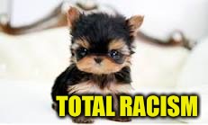 TOTAL RACISM | made w/ Imgflip meme maker