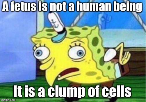 Mocking Spongebob Meme | A fetus is not a human being It is a clump of cells | image tagged in memes,mocking spongebob | made w/ Imgflip meme maker