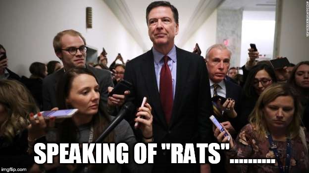 rats | SPEAKING OF "RATS".......... | image tagged in fbi director james comey | made w/ Imgflip meme maker