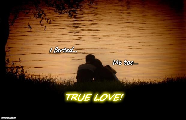 God I love her | Me too... I farted... TRUE LOVE! | image tagged in love | made w/ Imgflip meme maker
