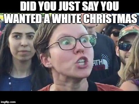 Sonn it's going to be hom efor the holidays because, well, homeless people. | DID YOU JUST SAY YOU WANTED A WHITE CHRISTMAS | image tagged in angry sjw | made w/ Imgflip meme maker