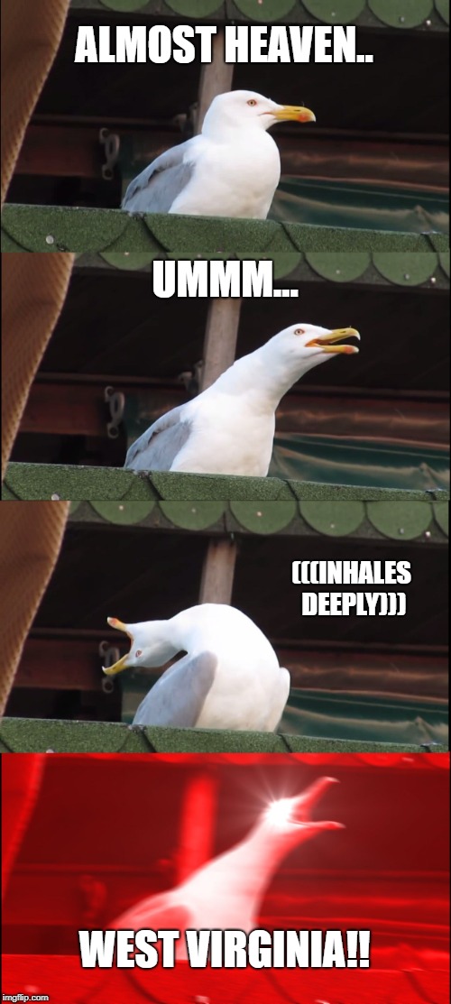 Inhaling Seagull | ALMOST HEAVEN.. UMMM... (((INHALES DEEPLY))); WEST VIRGINIA!! | image tagged in memes,inhaling seagull | made w/ Imgflip meme maker