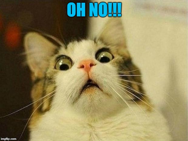 Scared Cat Meme | OH NO!!! | image tagged in memes,scared cat | made w/ Imgflip meme maker