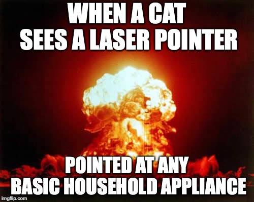 Nuclear Explosion | WHEN A CAT SEES A LASER POINTER; POINTED AT ANY BASIC HOUSEHOLD APPLIANCE | image tagged in memes,nuclear explosion | made w/ Imgflip meme maker