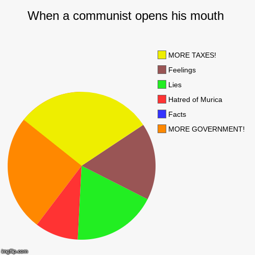 When a communist opens his mouth | MORE GOVERNMENT! , Facts, Hatred of Murica, Lies, Feelings, MORE TAXES! | image tagged in pie charts,communism,socialism,big government,taxes | made w/ Imgflip chart maker