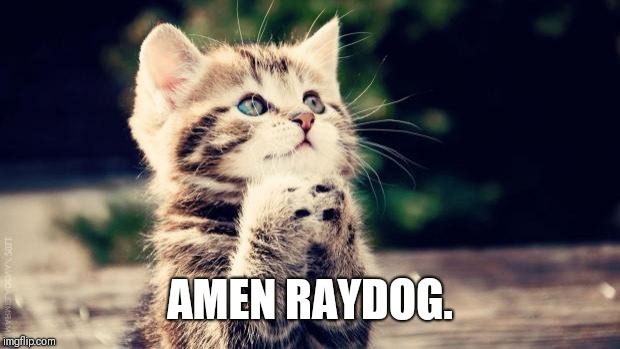 Praying cat | AMEN RAYDOG. | image tagged in praying cat | made w/ Imgflip meme maker