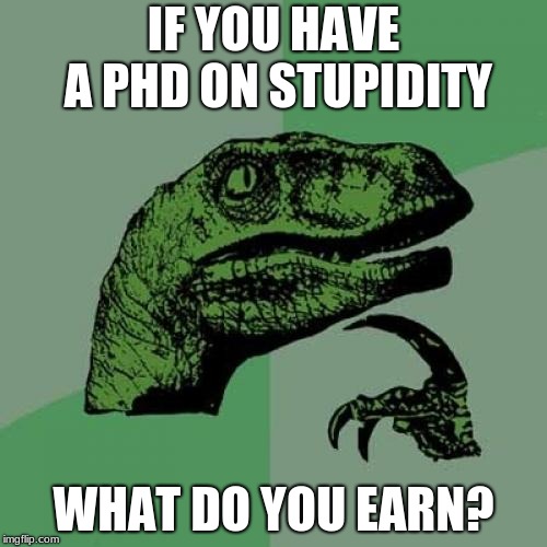 PhDraptor | IF YOU HAVE A PHD ON STUPIDITY; WHAT DO YOU EARN? | image tagged in memes,philosoraptor | made w/ Imgflip meme maker