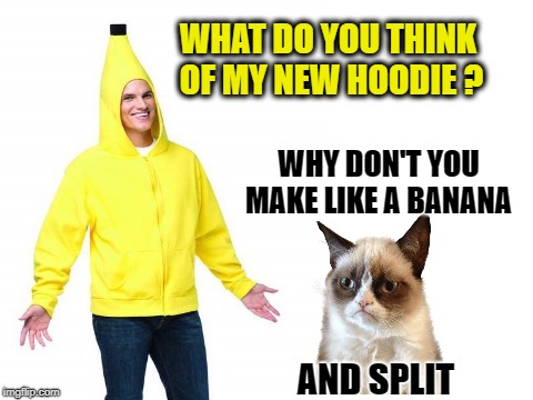 Grumpy not impressed | WHAT DO YOU THINK OF MY NEW HOODIE ? WHY DON'T YOU MAKE LIKE A BANANA; AND SPLIT | image tagged in funny memes,grumpy cat,cat,cat meme,banana,annoying people | made w/ Imgflip meme maker