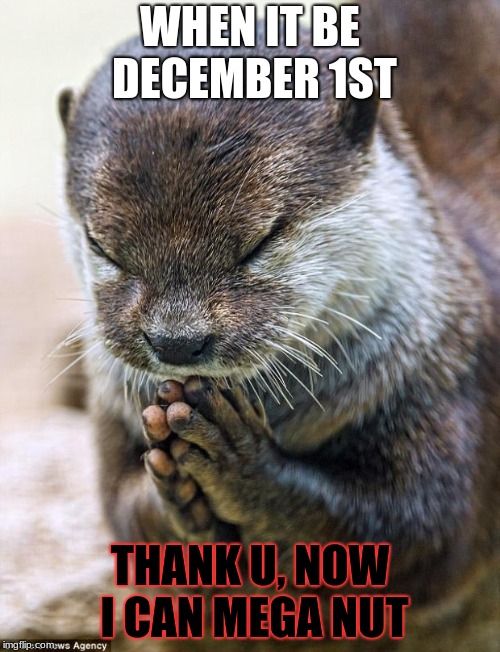 Thank you Lord Otter | WHEN IT BE DECEMBER 1ST; THANK U, NOW I CAN MEGA NUT | image tagged in thank you lord otter | made w/ Imgflip meme maker