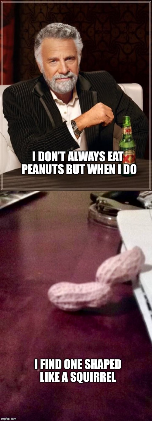 The Most Interesting Peanut In The World  | I DON’T ALWAYS EAT PEANUTS BUT WHEN I DO; I FIND ONE SHAPED LIKE A SQUIRREL | image tagged in memes,the most interesting man in the world,peanut,squirrel | made w/ Imgflip meme maker