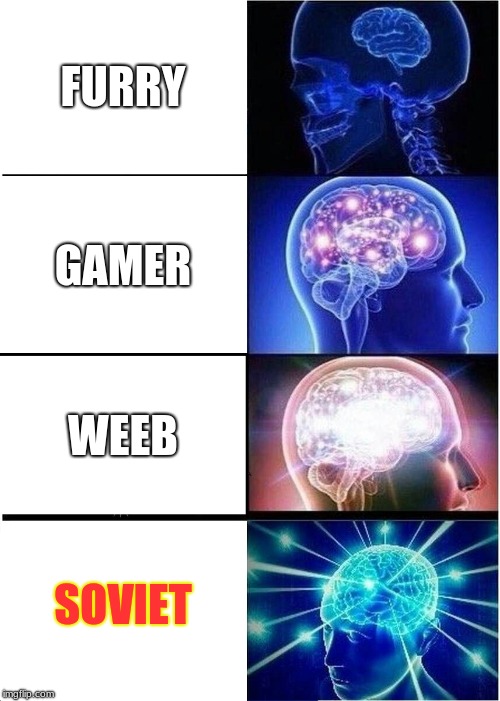 Expanding Brain Meme | FURRY; GAMER; WEEB; SOVIET | image tagged in memes,expanding brain | made w/ Imgflip meme maker