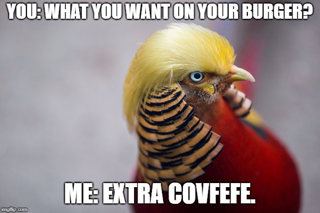 Trump Bird | YOU: WHAT YOU WANT ON YOUR BURGER? ME: EXTRA COVFEFE. | image tagged in trump bird | made w/ Imgflip meme maker