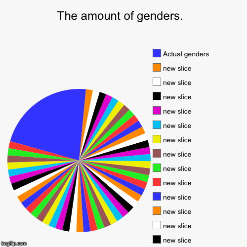 The amount of genders.  |, Lol, Actual genders | image tagged in funny,pie charts | made w/ Imgflip chart maker