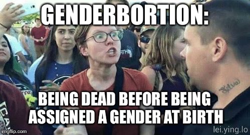 Assume Gender | GENDERBORTION:; BEING DEAD BEFORE BEING ASSIGNED A GENDER AT BIRTH | image tagged in assume gender | made w/ Imgflip meme maker