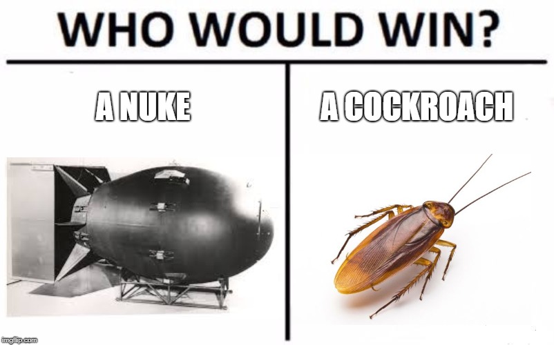 Who Would Win? Meme | A NUKE; A COCKROACH | image tagged in memes,who would win | made w/ Imgflip meme maker