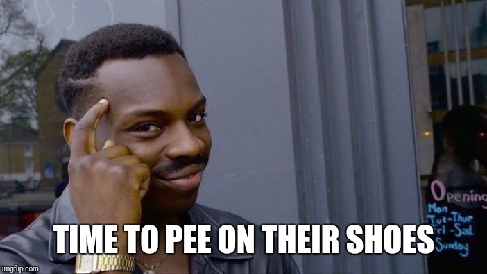 Roll Safe Think About It Meme | TIME TO PEE ON THEIR SHOES | image tagged in memes,roll safe think about it | made w/ Imgflip meme maker
