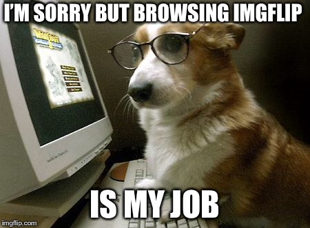 Smart Dog | I’M SORRY BUT BROWSING IMGFLIP; IS MY JOB | image tagged in smart dog | made w/ Imgflip meme maker
