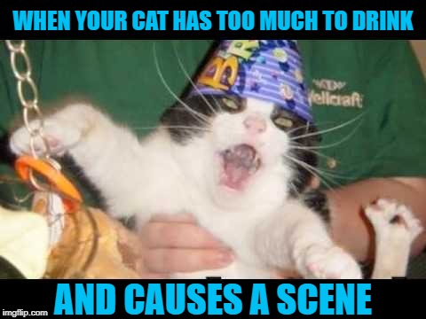 Party Animal | WHEN YOUR CAT HAS TOO MUCH TO DRINK; AND CAUSES A SCENE | image tagged in funny memes,cat memes,cat,party,drinking,booze | made w/ Imgflip meme maker