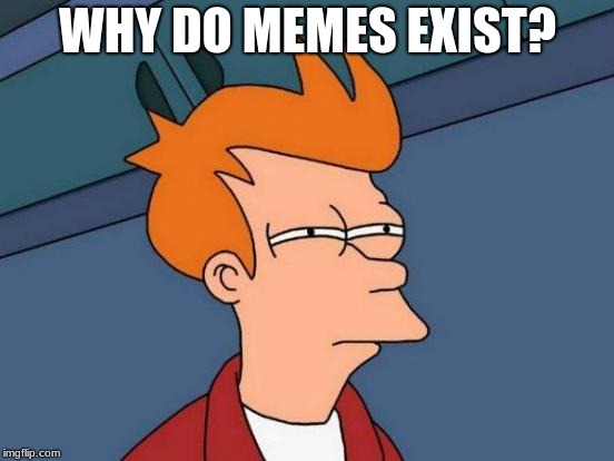 Futurama Fry | WHY DO MEMES EXIST? | image tagged in memes,futurama fry | made w/ Imgflip meme maker