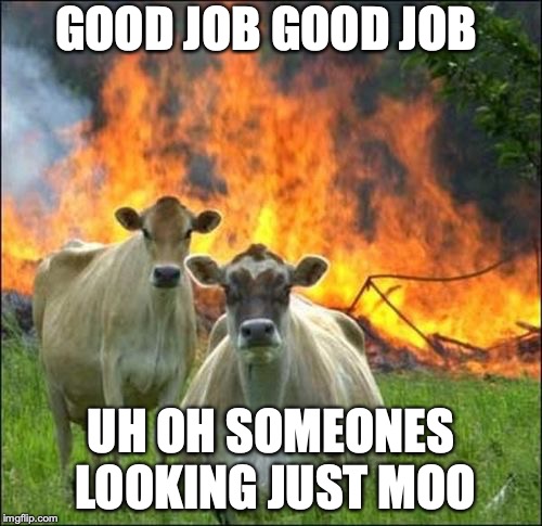 Evil Cows | GOOD JOB GOOD JOB; UH OH SOMEONES LOOKING JUST MOO | image tagged in memes,evil cows | made w/ Imgflip meme maker