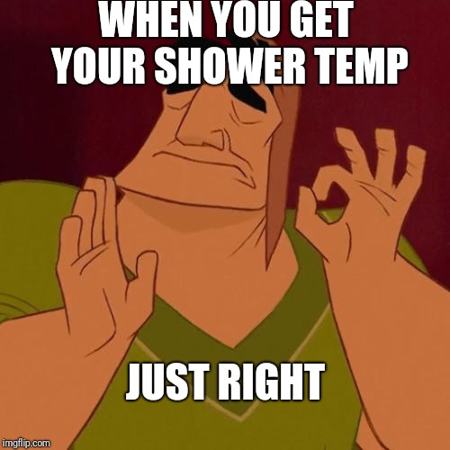 When X just right | WHEN YOU GET YOUR SHOWER TEMP; JUST RIGHT | image tagged in when x just right | made w/ Imgflip meme maker