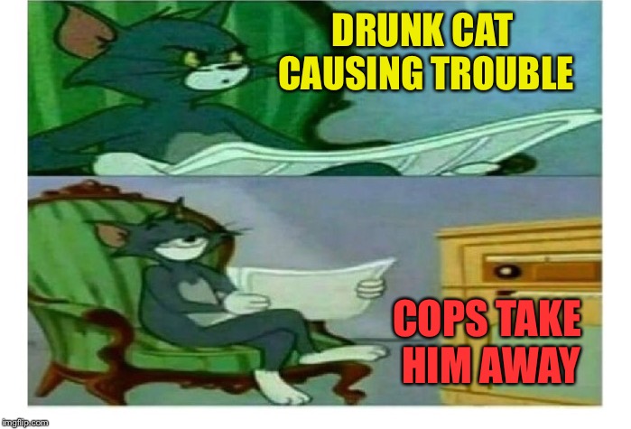 DRUNK CAT CAUSING TROUBLE COPS TAKE HIM AWAY | made w/ Imgflip meme maker
