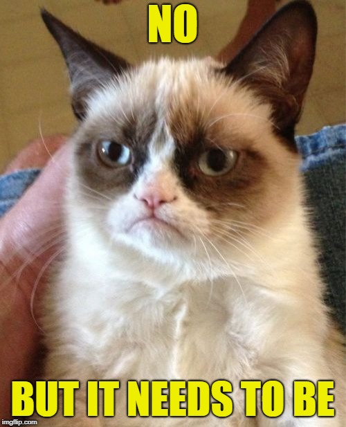 Grumpy Cat Meme | NO BUT IT NEEDS TO BE | image tagged in memes,grumpy cat | made w/ Imgflip meme maker