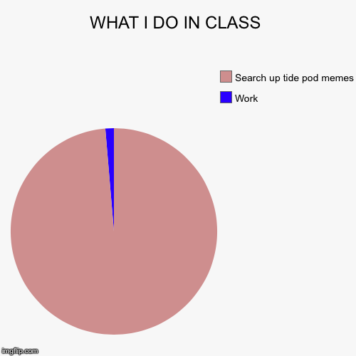 WHAT I DO IN CLASS | Work, Search up tide pod memes | image tagged in funny,pie charts | made w/ Imgflip chart maker