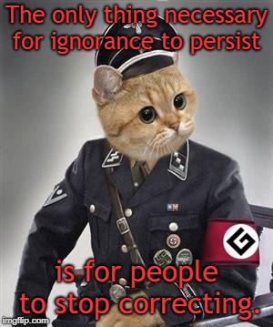 Grammar Nazi Cat | The only thing necessary for ignorance to persist; is for people to stop correcting. | image tagged in grammar nazi cat | made w/ Imgflip meme maker