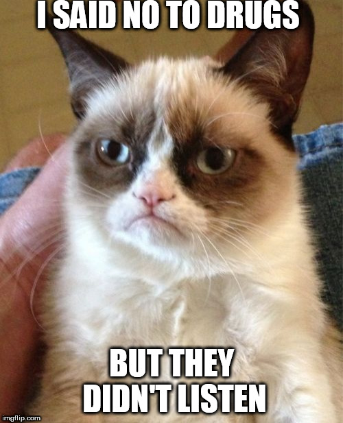 Grumpy Cat Meme | I SAID NO TO DRUGS; BUT THEY DIDN'T LISTEN | image tagged in memes,grumpy cat | made w/ Imgflip meme maker