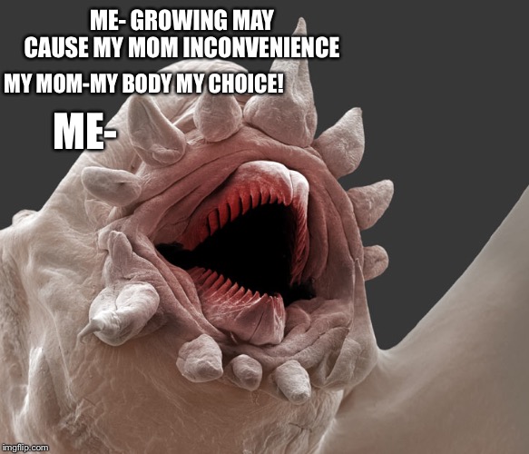 Laug in parasite | ME- GROWING MAY CAUSE MY MOM INCONVENIENCE; ME-; MY MOM-MY BODY MY CHOICE! | image tagged in laug in parasite | made w/ Imgflip meme maker