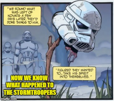 this is what happened when Ewoks fight stormtroopers   | NOW WE KNOW WHAT HAPPENED TO THE STORMTROOPERS | image tagged in memes,star wars | made w/ Imgflip meme maker