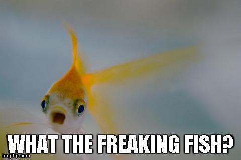 WHAT THE FREAKING FISH? | made w/ Imgflip meme maker