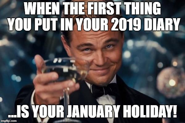 Leonardo Dicaprio Cheers | WHEN THE FIRST THING YOU PUT IN YOUR 2019 DIARY; ...IS YOUR JANUARY HOLIDAY! | image tagged in memes,leonardo dicaprio cheers | made w/ Imgflip meme maker