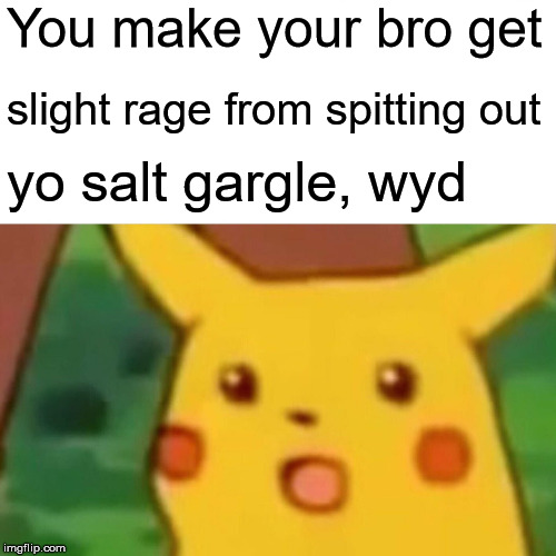 Surprised Pikachu | You make your bro get; slight rage from spitting out; yo salt gargle, wyd | image tagged in memes,surprised pikachu | made w/ Imgflip meme maker