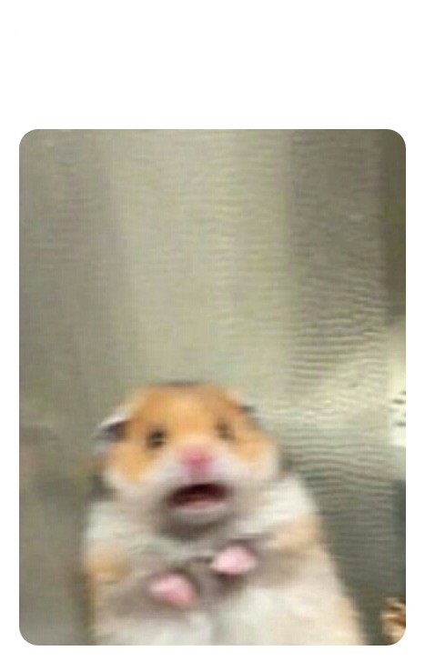 Screaming Hamster Blank Meme Template