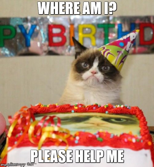 Grumpy Cat Birthday Meme | WHERE AM I? PLEASE HELP ME | image tagged in memes,grumpy cat birthday,grumpy cat | made w/ Imgflip meme maker