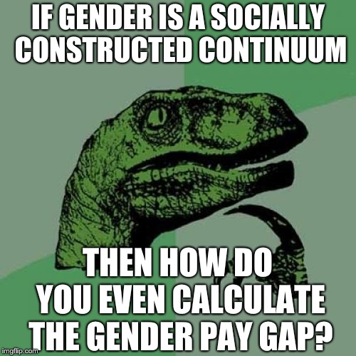 Gender pay gap? |  IF GENDER IS A SOCIALLY CONSTRUCTED CONTINUUM; THEN HOW DO YOU EVEN CALCULATE THE GENDER PAY GAP? | image tagged in memes,philosoraptor | made w/ Imgflip meme maker