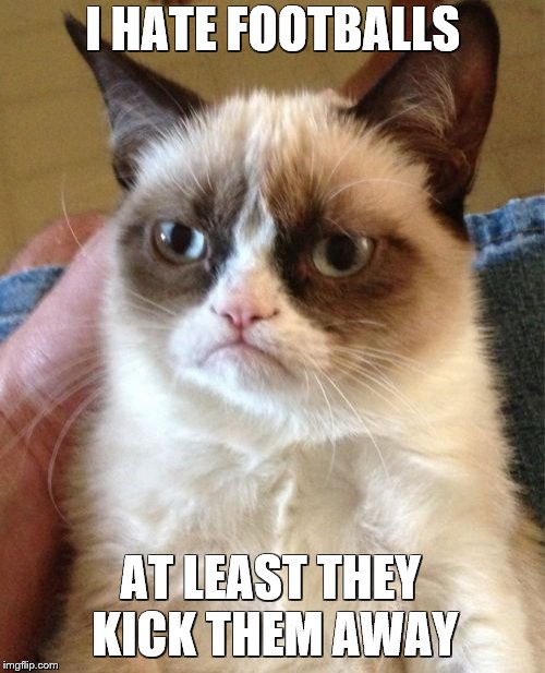 Grumpy Cat Meme | I HATE FOOTBALLS; AT LEAST THEY KICK THEM AWAY | image tagged in memes,grumpy cat | made w/ Imgflip meme maker