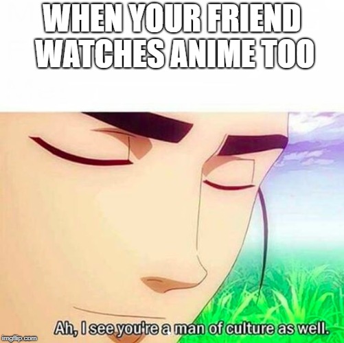 Ah,I see you are a man of culture as well | WHEN YOUR FRIEND WATCHES ANIME TOO | image tagged in ah i see you are a man of culture as well | made w/ Imgflip meme maker