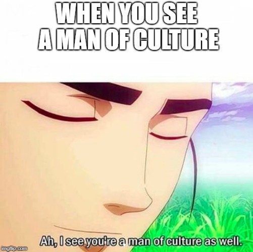 Ah,I see you are a man of culture as well | WHEN YOU SEE A MAN OF CULTURE | image tagged in ah i see you are a man of culture as well | made w/ Imgflip meme maker