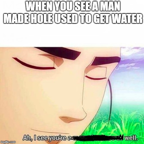 Ah,I see you are a man of culture as well | WHEN YOU SEE A MAN MADE HOLE USED TO GET WATER | image tagged in ah i see you are a man of culture as well | made w/ Imgflip meme maker