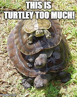 Turtles All The Way Down | THIS IS TURTLEY TOO MUCH! | image tagged in turtles all the way down | made w/ Imgflip meme maker