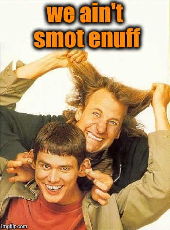 DUMB and dumber | we ain't smot enuff | image tagged in dumb and dumber | made w/ Imgflip meme maker