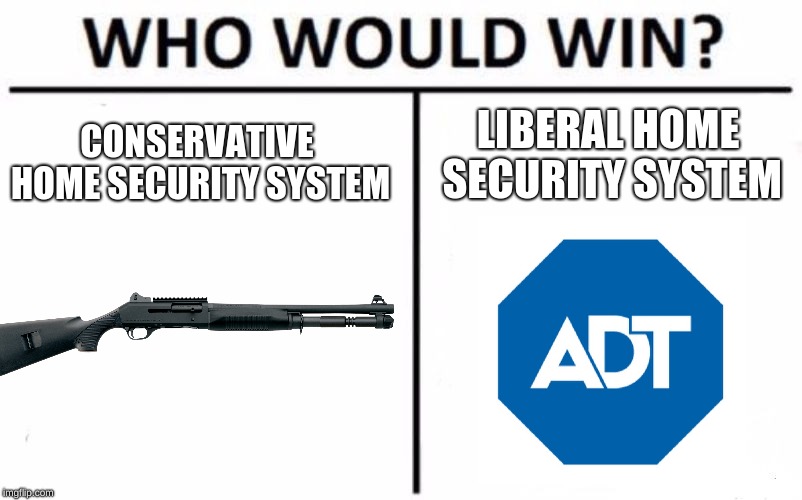 Who Would Win? | LIBERAL HOME SECURITY SYSTEM; CONSERVATIVE HOME SECURITY SYSTEM | image tagged in memes,who would win | made w/ Imgflip meme maker