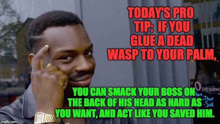 Roll Safe Think About It Meme | TODAY'S PRO TIP:  IF YOU GLUE A DEAD WASP TO YOUR PALM, YOU CAN SMACK YOUR BOSS ON THE BACK OF HIS HEAD AS HARD AS YOU WANT, AND ACT LIKE YOU SAVED HIM. | image tagged in memes,roll safe think about it | made w/ Imgflip meme maker