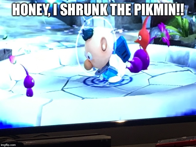 Honey, I shrunk the Pikmin  | HONEY, I SHRUNK THE PIKMIN!! | image tagged in gaming | made w/ Imgflip meme maker
