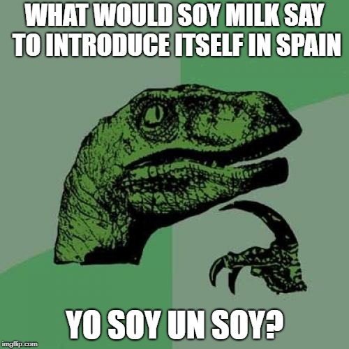 Philosoraptor Meme | WHAT WOULD SOY MILK SAY TO INTRODUCE ITSELF IN SPAIN; YO SOY UN SOY? | image tagged in memes,philosoraptor | made w/ Imgflip meme maker