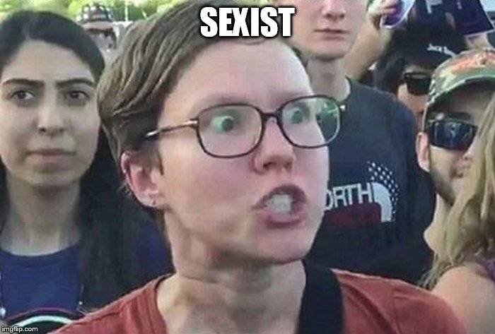 Triggered Liberal | SEXIST | image tagged in triggered liberal | made w/ Imgflip meme maker